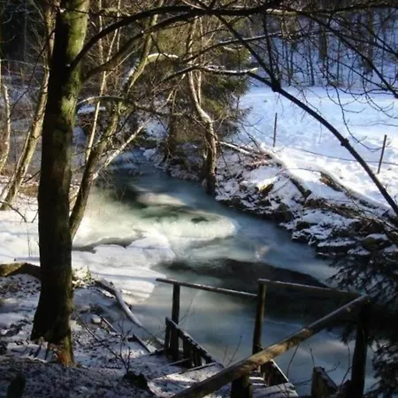 Gemuetlicher Aufenthalt In Kamschlacken, Cleaning Included Kamschlacken